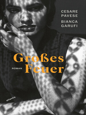 cover image of Großes Feuer